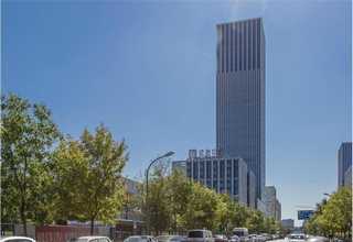 广州全自动碾米机价格