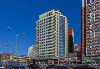 湖北猫罐头代理